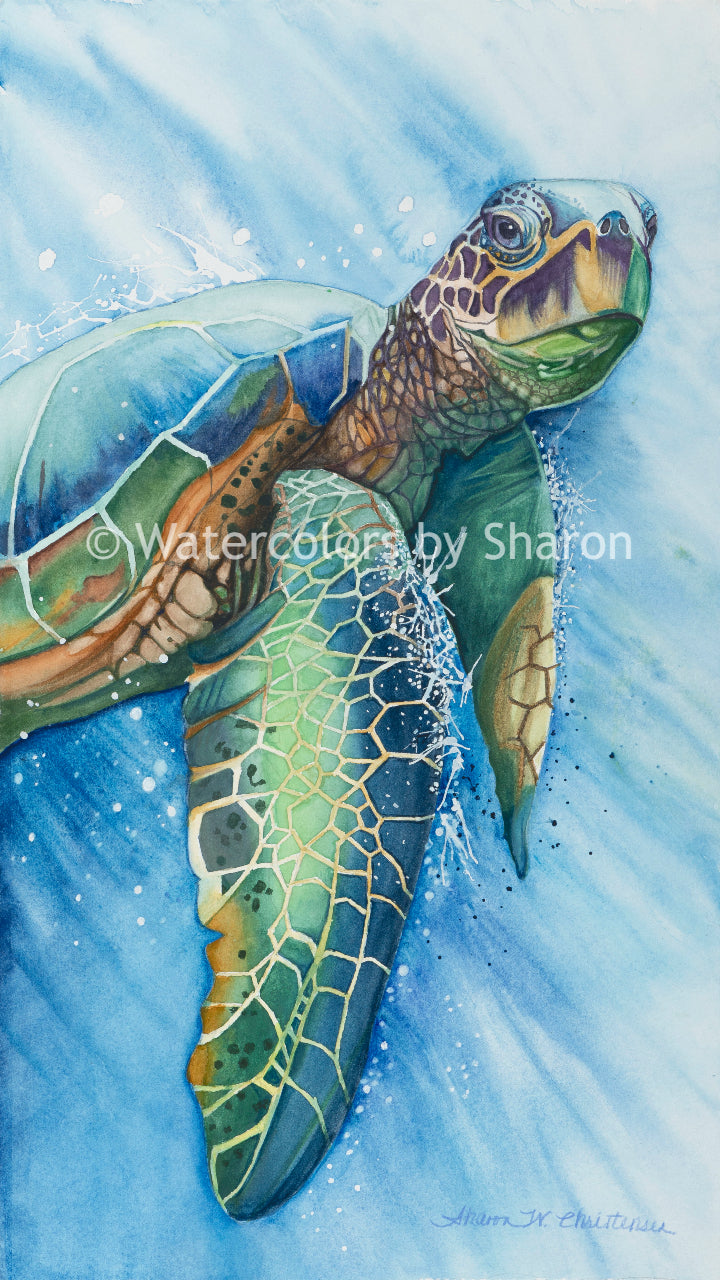 Sea Turtle Watercolor Art Print