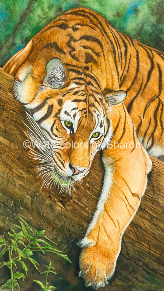 Tiger Watercolor Art Print