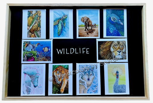 Wildlife Blank Watercolor Art Note Cards, Set of 10