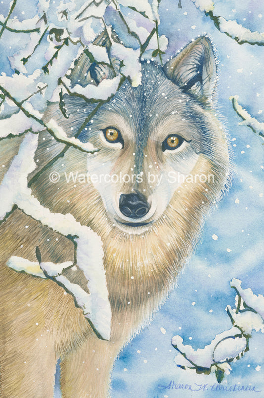 Wolf in Winter Watercolor Art Print