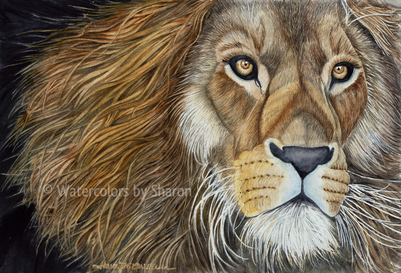 King of the Jungle Watercolor Art Print